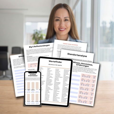 Karriere-Coaching-Toolset